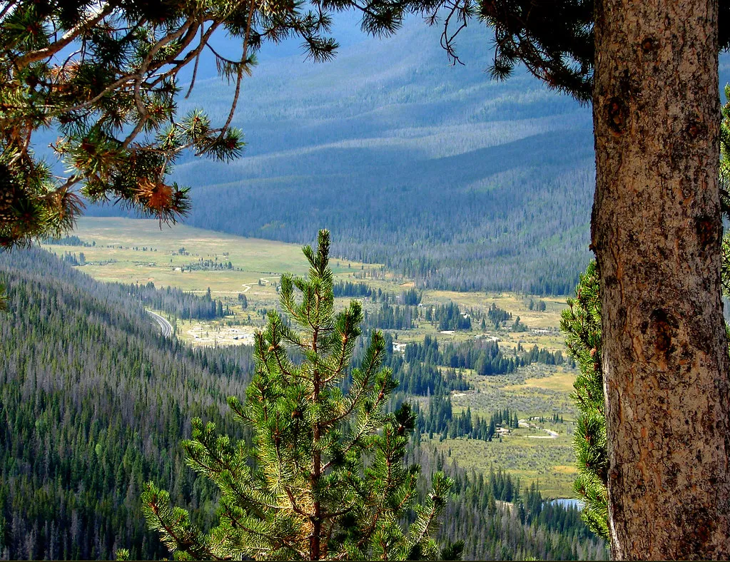 Cache Poudre Valley, Rocky Mount N.P 8-12