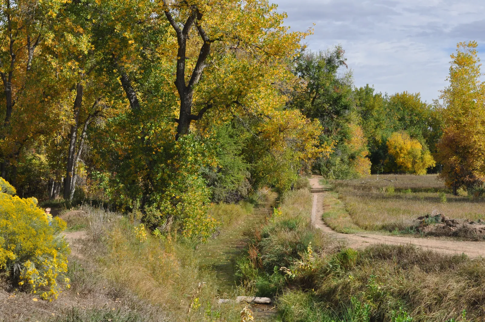 trail at a park in Fort Colins