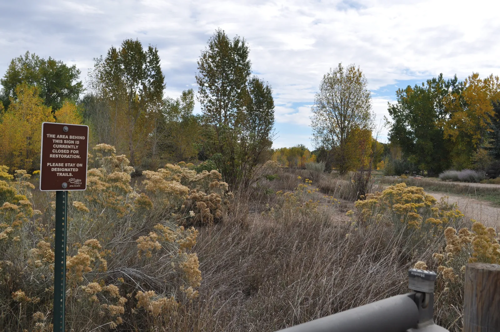 Fort Collins in the fall